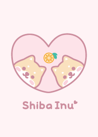 Shiba Inu Orange - Pink