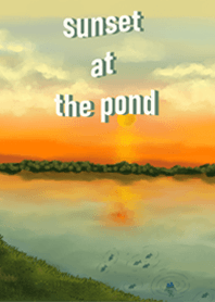 在池塘的日落