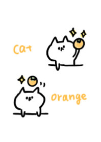 White cat and oranges
