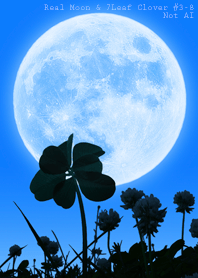 Real Moon&7Leaf Clover #3-8Not AI
