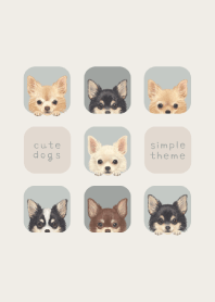 DOGS - Chihuahua L - SKY GRAY