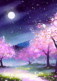Beautiful night cherry blossoms#239