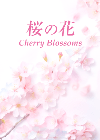 "Cherry Blossoms vol.22" theme
