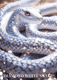 Diamond and white snake 47