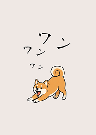 我養的可愛柴犬(米色)