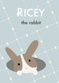 Ricey the rabbit