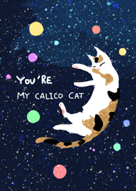 You're My Calico Cat