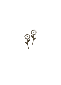 White and stylish flowers.