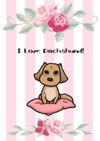 I Love Dachshund(Cream)