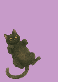 Relaxing black cat on light purple