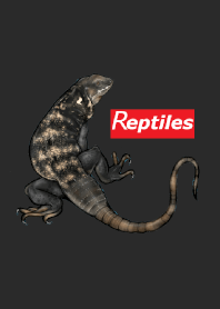ENOGU REPTILES② 爬虫類　着せ替え