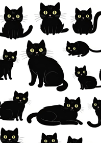 Super cute black cat KA8og