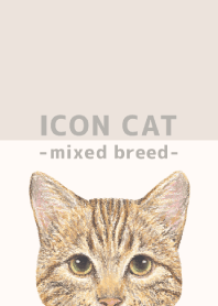 ICON CAT - Mixed breed cat - BEIGE/15