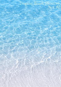 Tropical Beach Photo87 Not AI