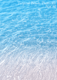 Tropical Beach Photo165 Not AI