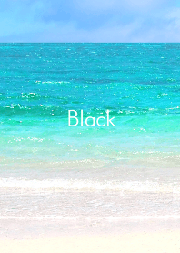 my sea 12