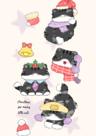 Many black cats3