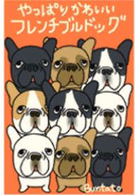 やっぱりかわいいフレンチブルドッグ