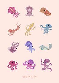 Squids and Octopus