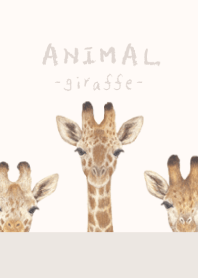 ANIMAL - Giraffe - BEIGE