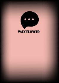 Wax Flower And Black V.3