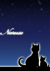 Naruse parents of cats & night sky
