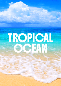 TROPICAL OCEAN THEME 54