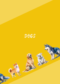 The good dogs2 on yellow