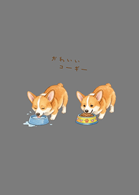 My adorable Corgi(fog gray)