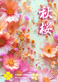 Cosmos Increased luck2