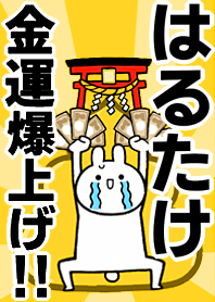 Fortune rise rabbiit[Harutake]