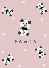 Panda eating bamboo5.