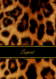 Leopard × Leopard