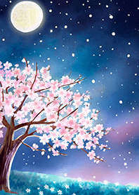 Beautiful night cherry blossoms#322