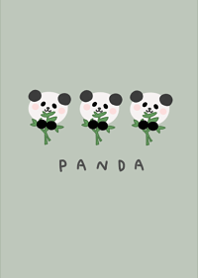 Panda eating bamboo4.