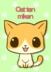Cat tan mikan