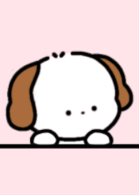 いぬとうさぎとねことくまとひよこ