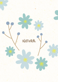 Flower fruit cute23 from Japan