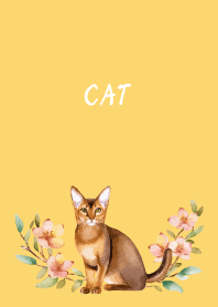 Abyssinian on light yellow