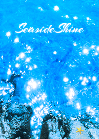 SeasideShine