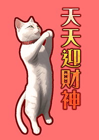 Cat welcomes the God of Wealth