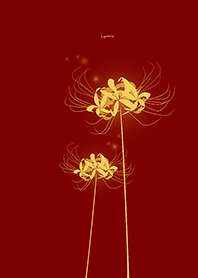 Lycoris golden Background red