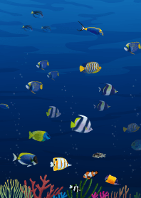 Colorful Underwater World.16
