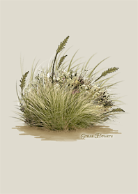 Grass Flowers