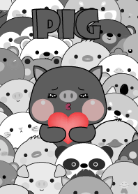 Simple Special Black Pig Theme