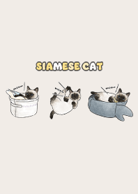 siamesecats5 - light cream
