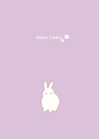 Petit Rabbit-flower