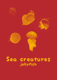 Sea crt akaneiro