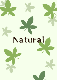 Natural pachira theme