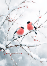 Crimson Dots on Snowy Branches